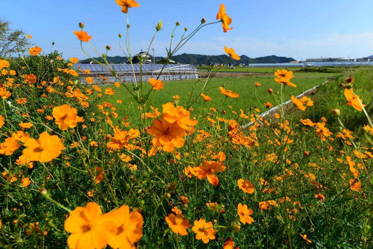 Haruno Guesthouse Kōchi Kültér fotó